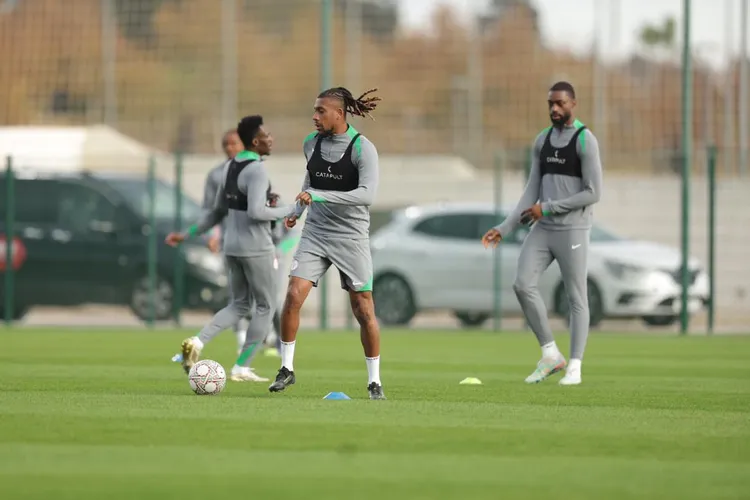 Super Eagles