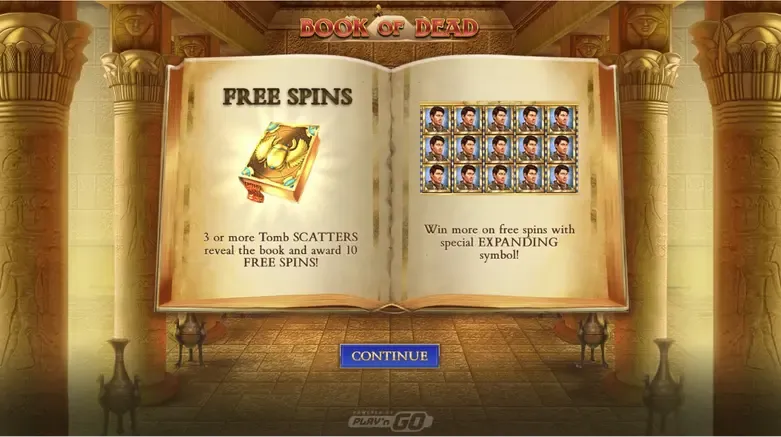 Book of Dead slot game with free spins feature and Wild symbols on the screen.