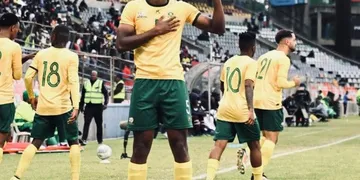 “Nigeria must NOT go to the World Cup” – South Africa’s Minister of Sport declares war on Super Eagles