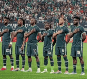 “He’s playing the best football of his career” – Ex-England goalkeeper praises Super Eagles star