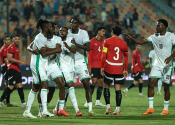 Norwich City legend hails ex-Super Eagles captain as one of Africa’s best in Premier League history