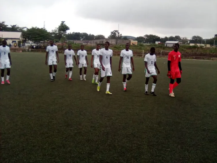 Golden Eaglets