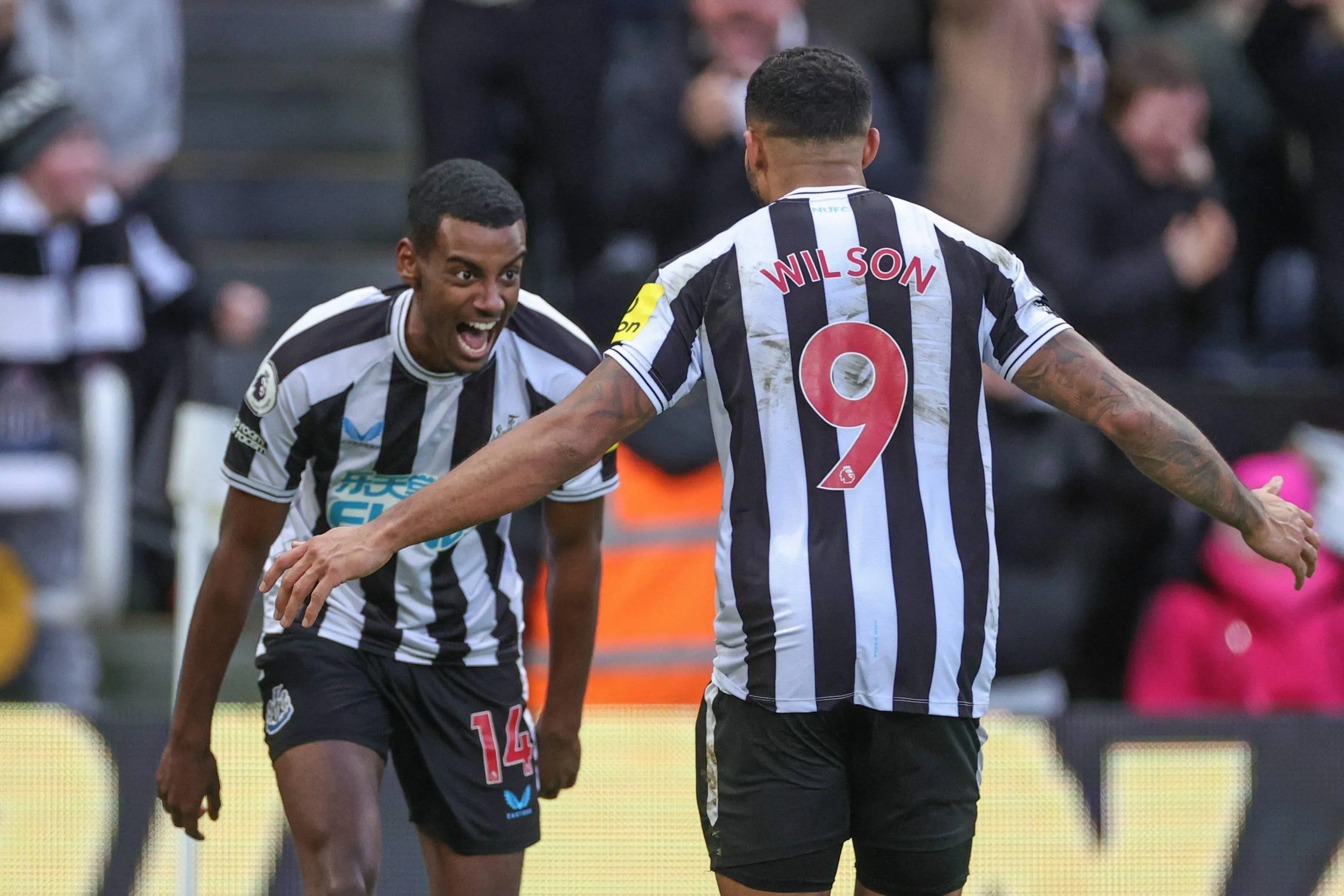 Callum Wilson and Alexander Isak 