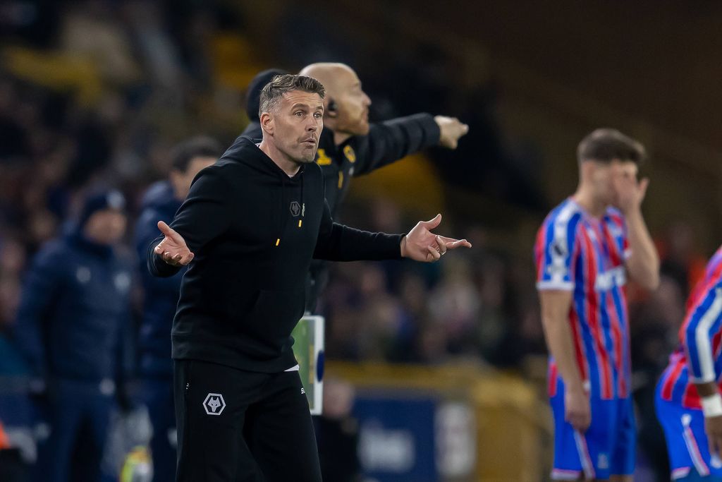 Coach Rob Edwards questions his players during the Premier League match between Wolverhampton Wanderers and Crystal Palace