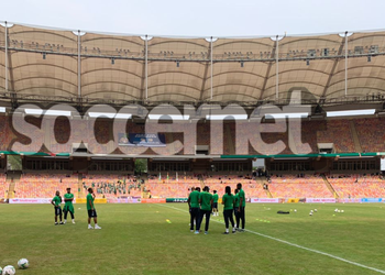 Moses Simon joins Peseiro to show support for under-fire Francis Uzoho