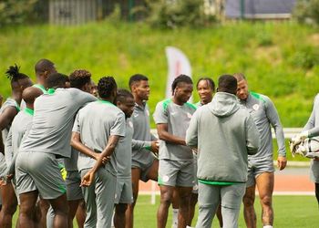 Club World Cup: Nigerian star falls for South Africa’s Sundowns after 7-goal thriller vs Dortmund