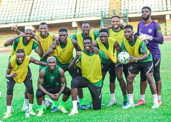 Daniel Akpeyi Reveals Who To Blame For Algeria Defeat