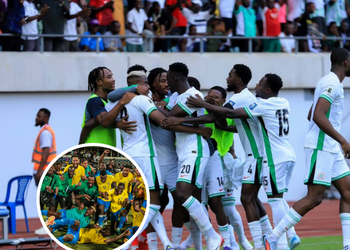 The vengeance of Gernot Rohr- How a bungled relationship continues to haunt Nigerian football