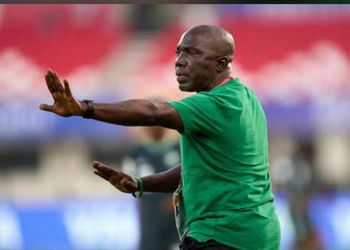 Flamingoes complete Egypt rout in Cairo, face final hurdle to India