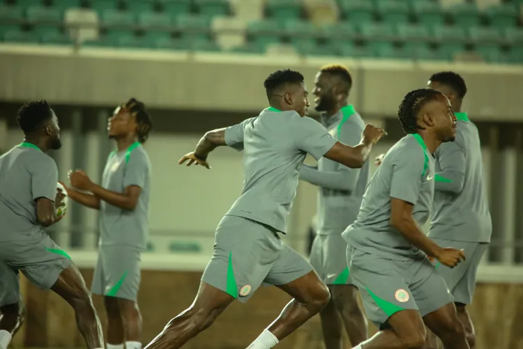 Super Eagles stars