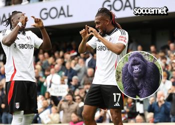 Fulham coach laps up Iwobi performance with praise following brace against Brighton and Hove Albion