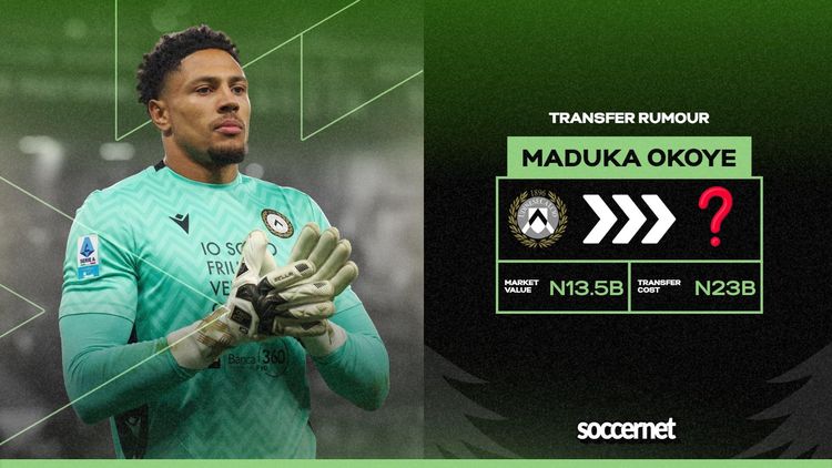 Super Eagles: Transfer battle looms as two clubs eye Udinese goalkeeper Maduka Okoye
