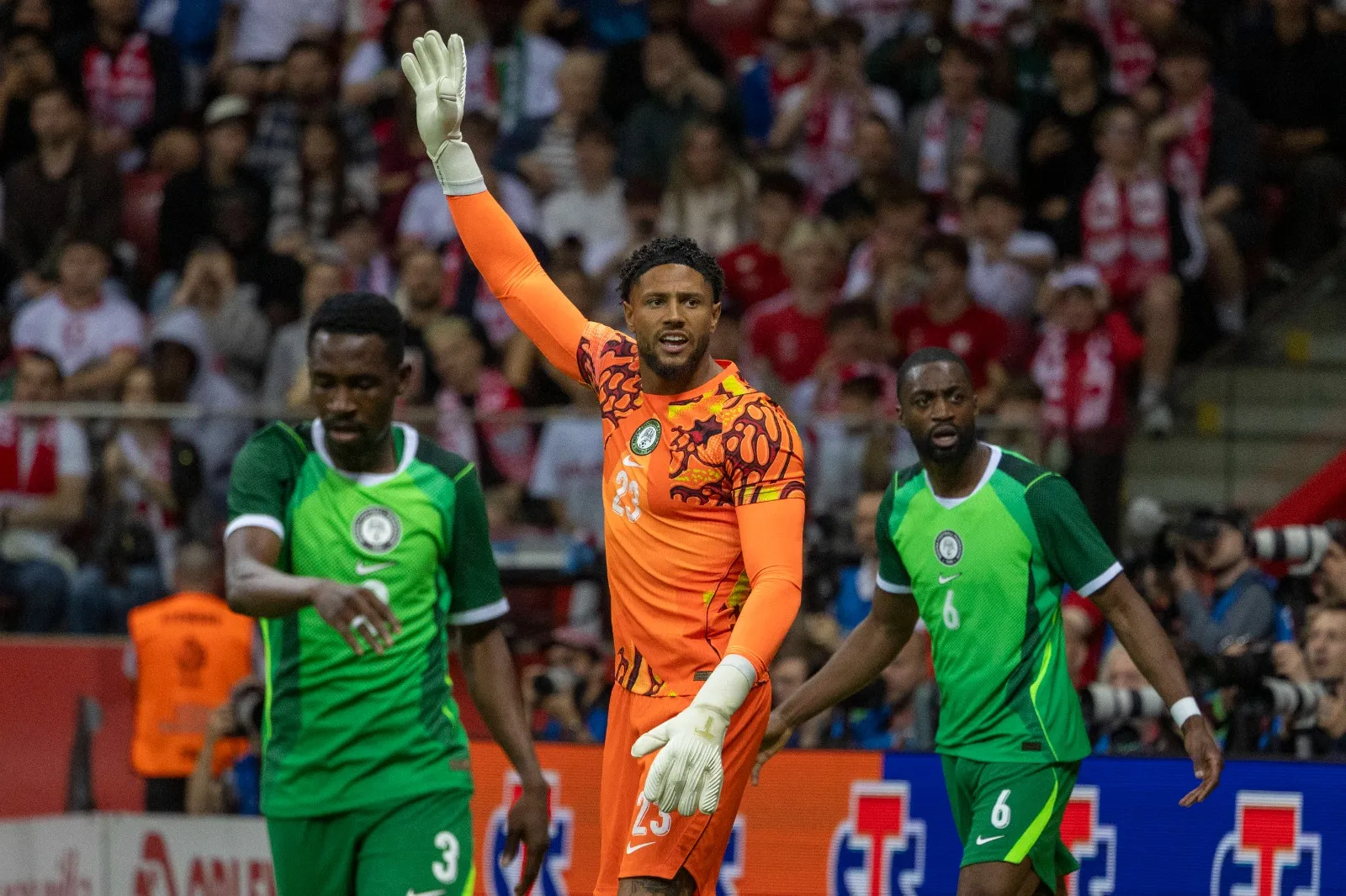 Poland vs Nigeria