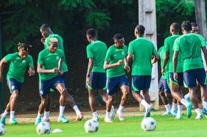 AFCON 2023: Super Eagles camp update – Peseiro rallies Osimhen, Lookman, others for Angola challenge