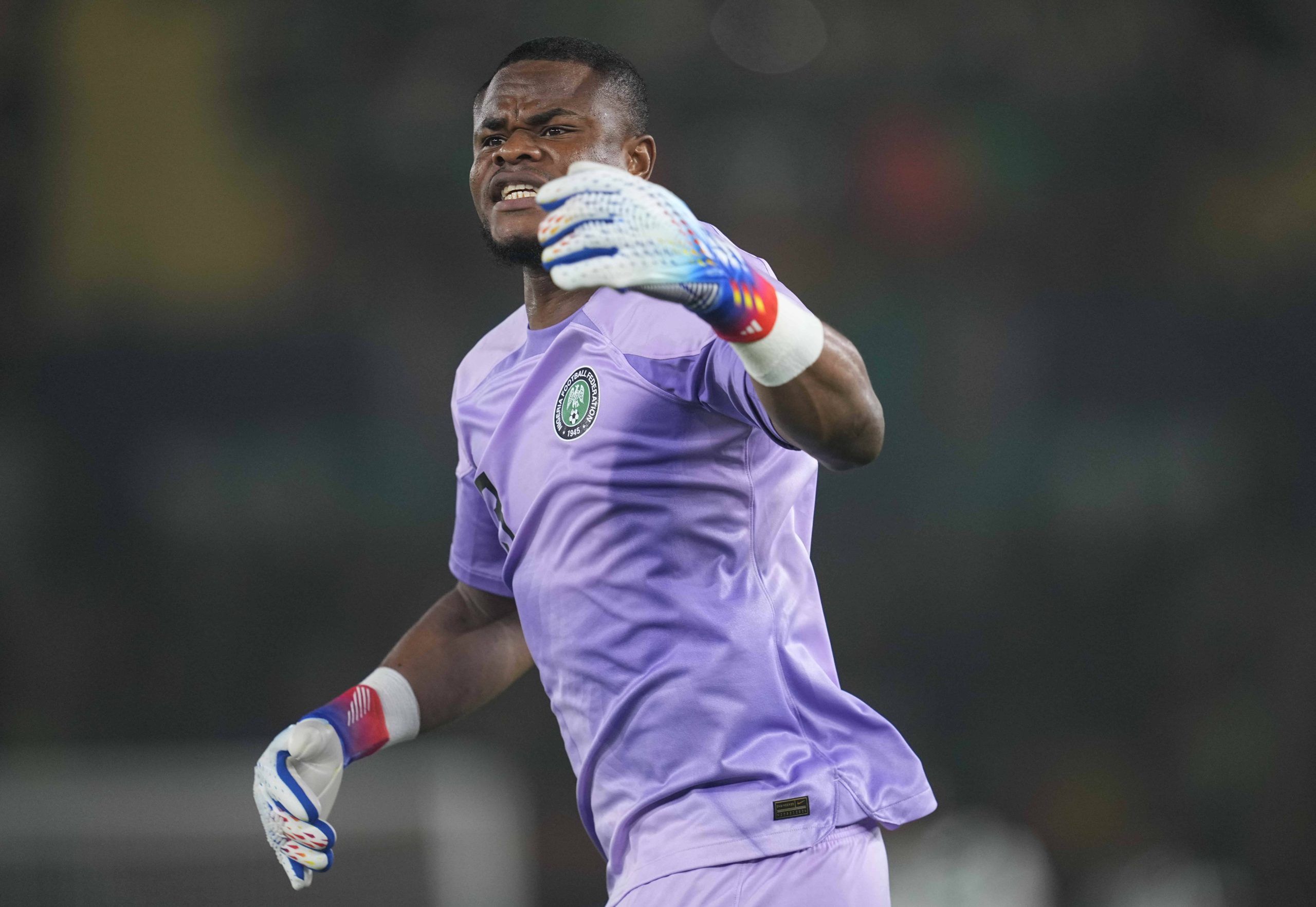 Stanley Bobo Nwabali Nigeria looks on during a African Cup of Nations Round of 16 game, Nigeria vs Cameroon