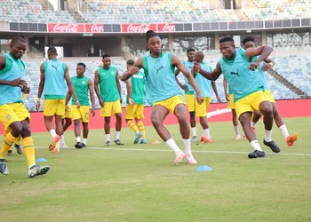 We will sack Jose Peseiro if– NFF board member