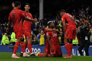 Roy Hodgson urges Watford stars to step up like Dennis