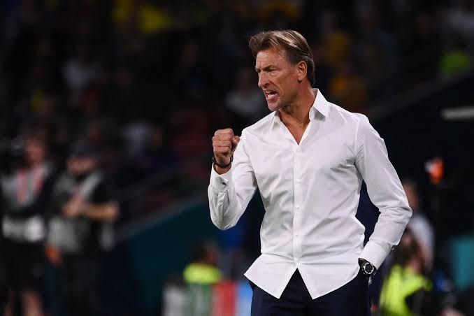 Current situation: Why Herve Renard as next Super Eagles coach is a blurry affair